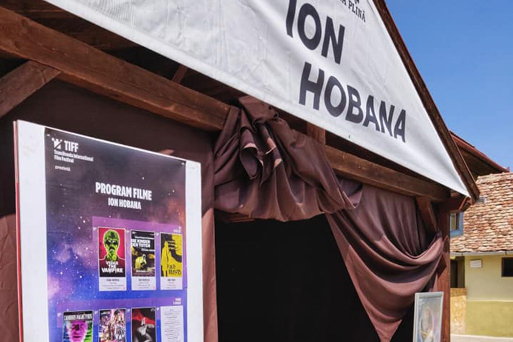 ION-HOBANA-3